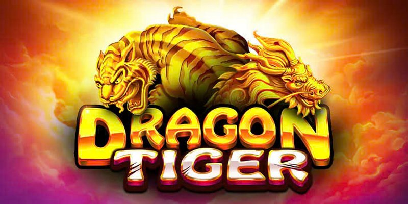 Rồng Hổ hấp dẫn với nhiều ưu điểm vượt trội