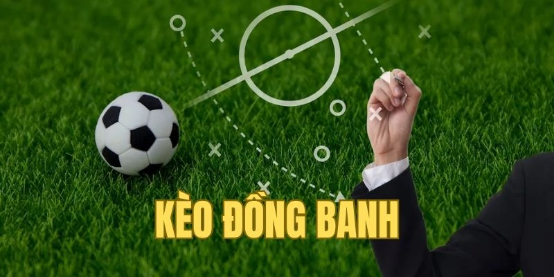 Ưu điểm và rủi ro khi tham gia loại hình