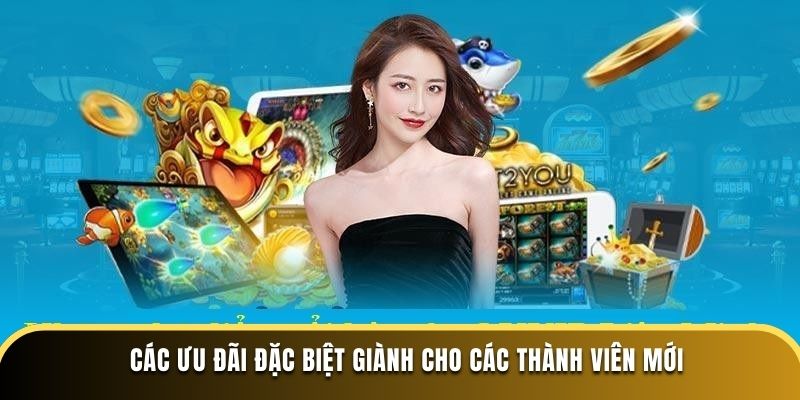 Các ưu đãi đặc biệt giành cho thành viên mới